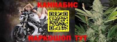 шишки Донской