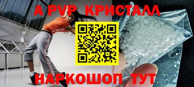 шишки Донской