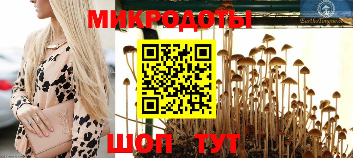 Псилоцибиновые грибы GOLDEN TEACHER Моздок